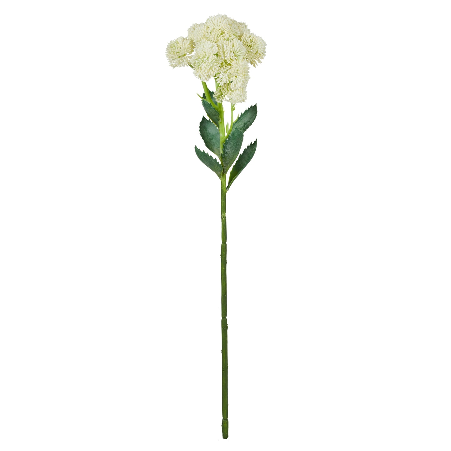 Sedum Spray 56x15x11cm Cream