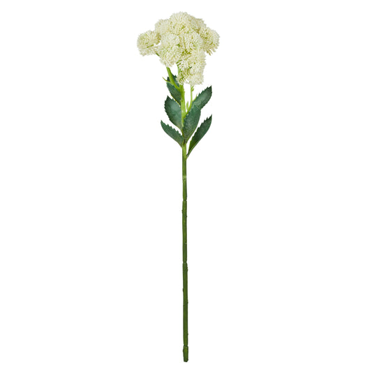 Sedum Spray 56x15x11cm Cream