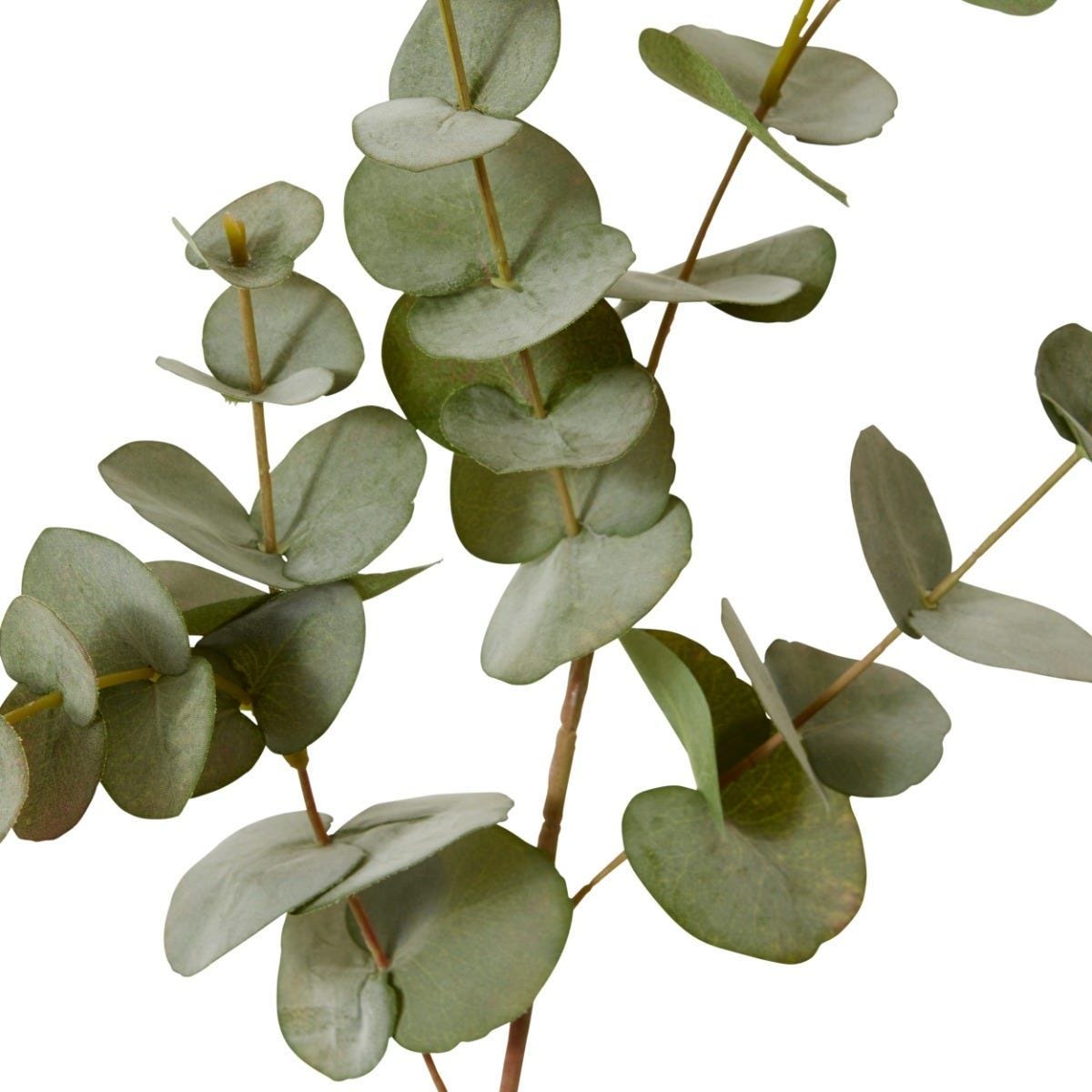 Eucalyptus Spray 86cm