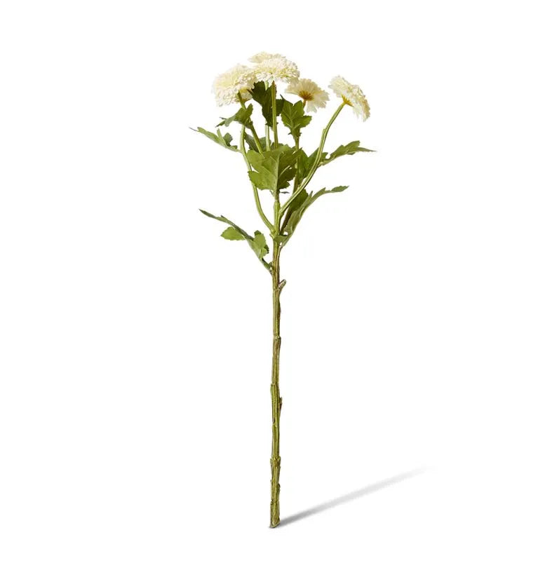 Chrysanthemum White Spray 22x16x56cm