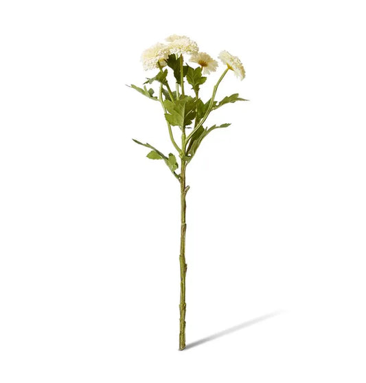 Chrysanthemum White Spray 22x16x56cm