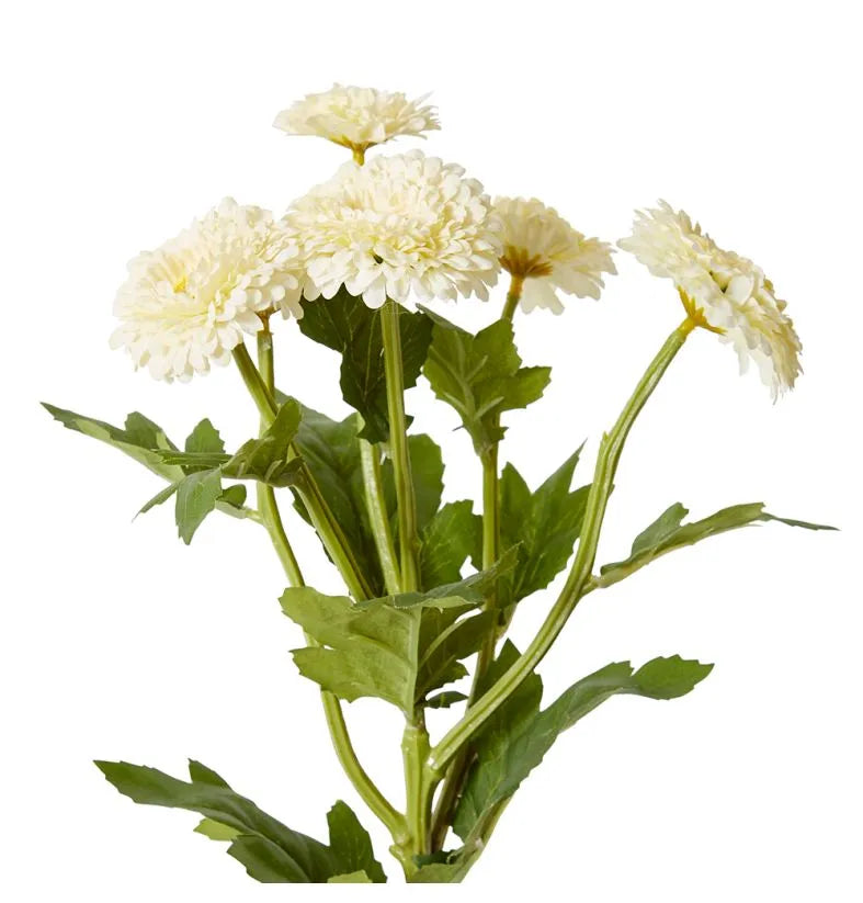 Chrysanthemum White Spray 22x16x56cm